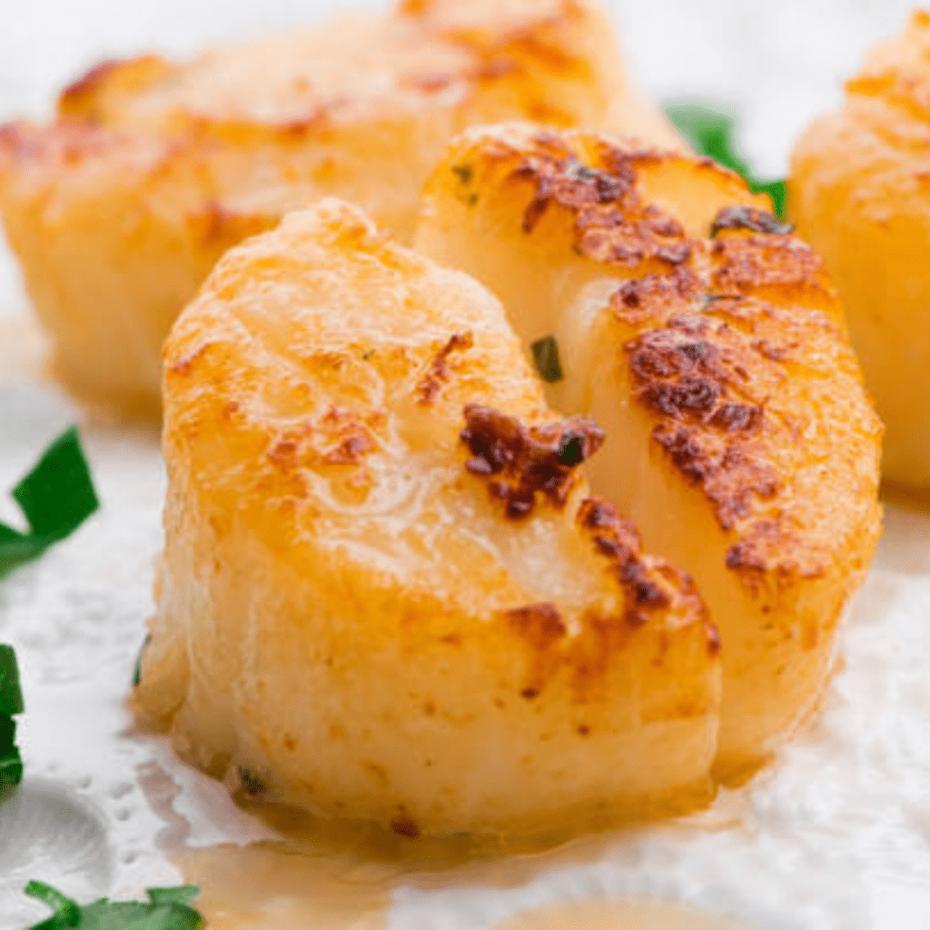 Pétoncle des ÎlesdelaMadeleine XL Distribution 4 Fourchettes